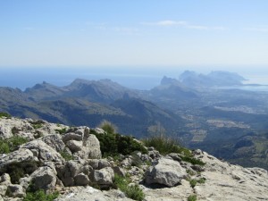 IMG_6967 (Medium)